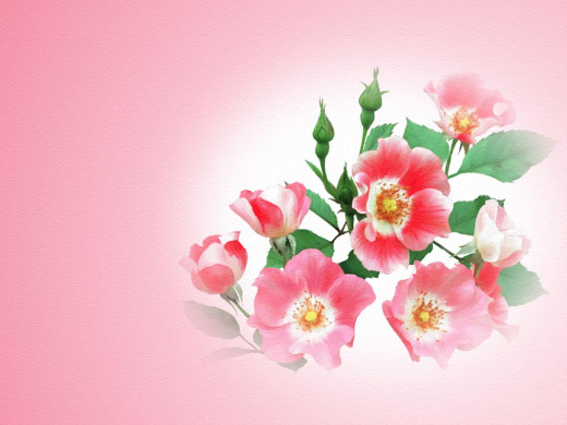 303255 (a): :1024x768